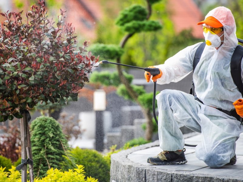 Harmancık Haşere İlaçlama